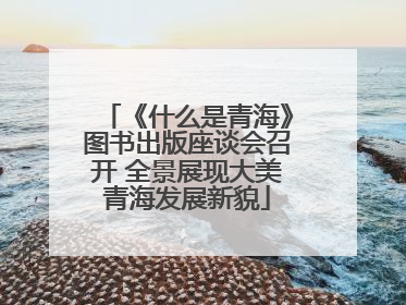《什么是青海》图书出版座谈会召开 全景展现大美青海发展新貌