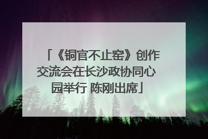 《铜官不止窑》创作交流会在长沙政协同心园举行 陈刚出席