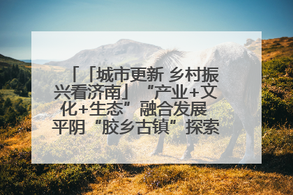 「城市更新 乡村振兴看济南」“产业+文化+生态”融合发展 平阴“胶乡古镇”探索振兴路径成效显著