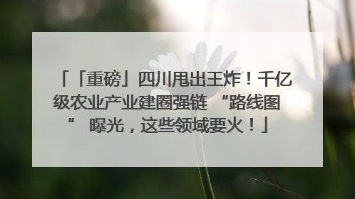 「重磅」四川甩出王炸！千亿级农业产业建圈强链 “路线图” 曝光，这些领域要火！