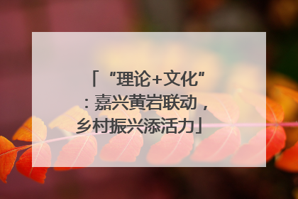 “理论+文化”：嘉兴黄岩联动，乡村振兴添活力