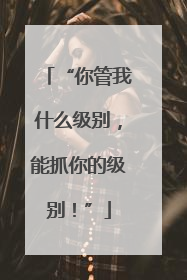 “你管我什么级别，能抓你的级别！”
