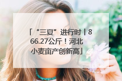 “三夏”进行时丨866.27公斤！河北小麦亩产创新高