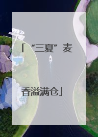 “三夏”麦香溢满仓