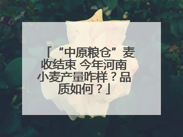 “中原粮仓”麦收结束 今年河南小麦产量咋样？品质如何？