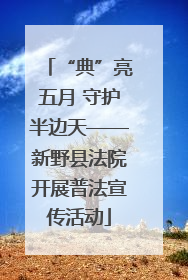 “典”亮五月 守护半边天——新野县法院开展普法宣传活动
