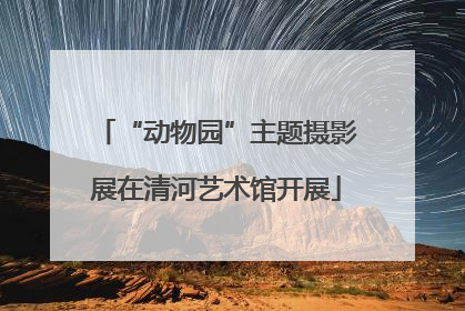 “动物园”主题摄影展在清河艺术馆开展