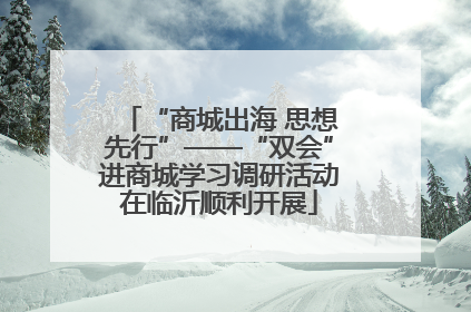 “商城出海 思想先行”——“双会”进商城学习调研活动在临沂顺利开展