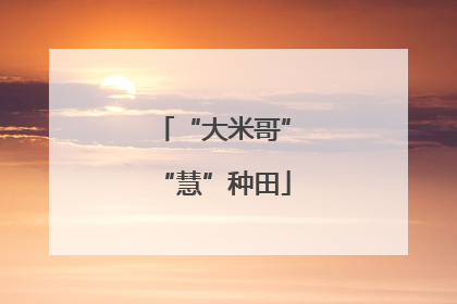 “大米哥”“慧”种田