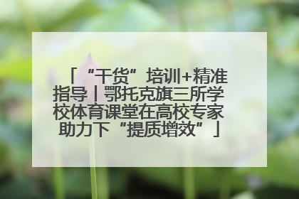 “干货”培训+精准指导丨鄂托克旗三所学校体育课堂在高校专家助力下“提质增效”