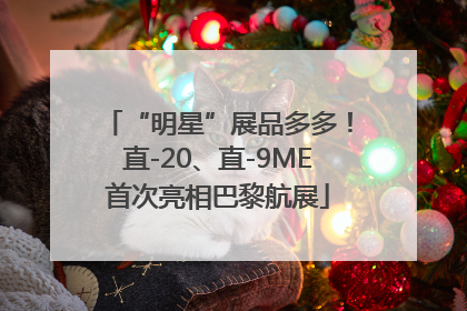 “明星”展品多多！直-20、直-9ME首次亮相巴黎航展