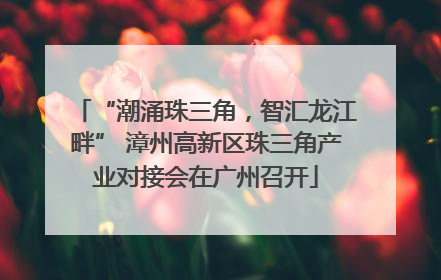 “潮涌珠三角，智汇龙江畔” 漳州高新区珠三角产业对接会在广州召开