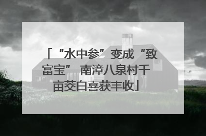 “水中参”变成“致富宝” 南漳八泉村千亩茭白喜获丰收