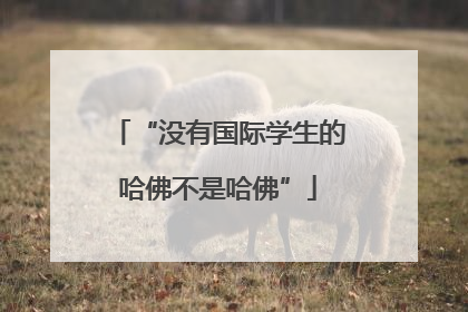 “没有国际学生的哈佛不是哈佛”