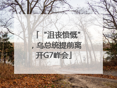 “沮丧愤慨”，乌总统提前离开G7峰会