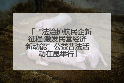 “法治护航民企新征程·激发民营经济新动能”公益普法活动在昆举行