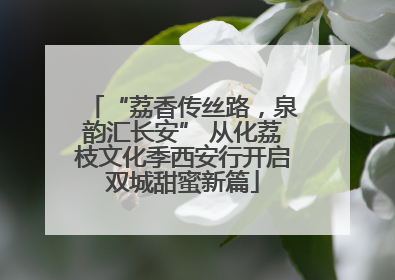 “荔香传丝路，泉韵汇长安” 从化荔枝文化季西安行开启双城甜蜜新篇