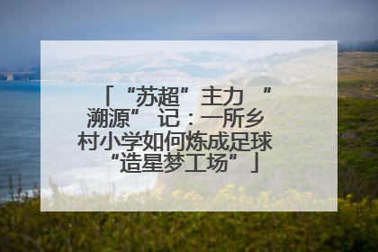 “苏超”主力 “溯源” 记：一所乡村小学如何炼成足球 “造星梦工场”