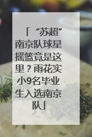 “苏超”南京队球星摇篮竟是这里？雨花实小9名毕业生入选南京队