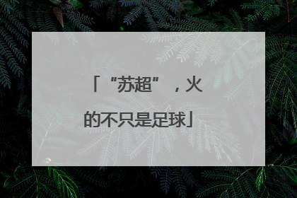 “苏超”，火的不只是足球