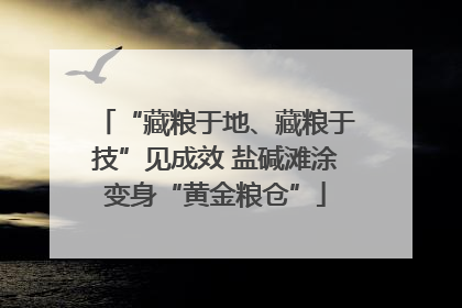“藏粮于地、藏粮于技”见成效 盐碱滩涂变身“黄金粮仓”