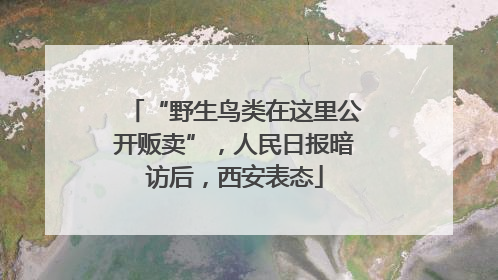 “野生鸟类在这里公开贩卖”，人民日报暗访后，西安表态