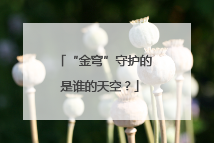 “金穹”守护的是谁的天空？