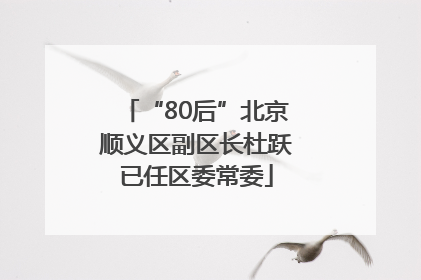“80后”北京顺义区副区长杜跃已任区委常委