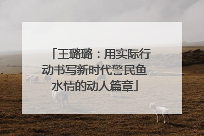 王璐璐：用实际行动书写新时代警民鱼水情的动人篇章