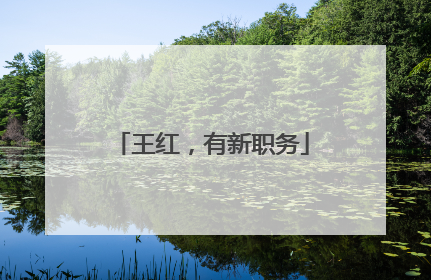 王红，有新职务