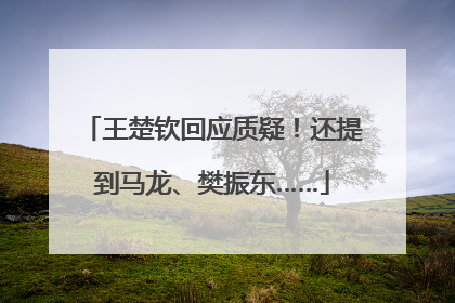 王楚钦回应质疑！还提到马龙、樊振东……
