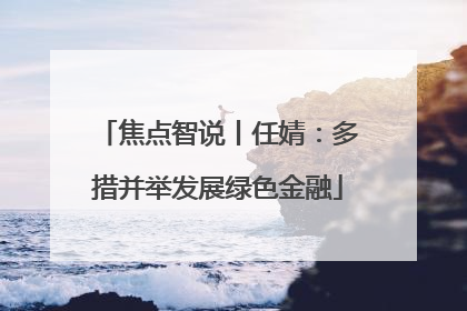 焦点智说丨任婧：多措并举发展绿色金融