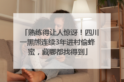 熟练得让人惊讶！四川一黑熊连续3年进村偷蜂蜜，藏哪都找得到
