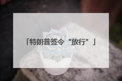 特朗普签令“放行”