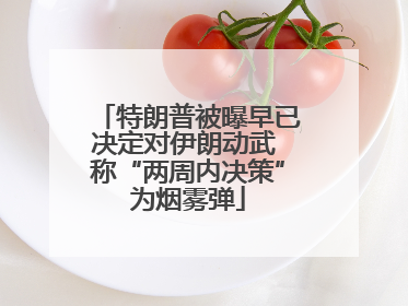 特朗普被曝早已决定对伊朗动武 称“两周内决策”为烟雾弹