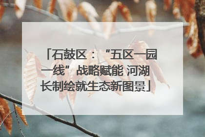 石鼓区：“五区一园一线”战略赋能 河湖长制绘就生态新图景