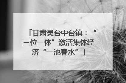 甘肃灵台中台镇：“三位一体”激活集体经济“一池春水”
