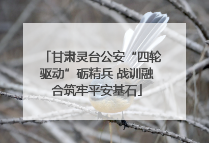 甘肃灵台公安“四轮驱动”砺精兵 战训融合筑牢平安基石