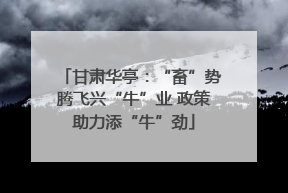 甘肃华亭：“畜”势腾飞兴“牛”业 政策助力添“牛”劲