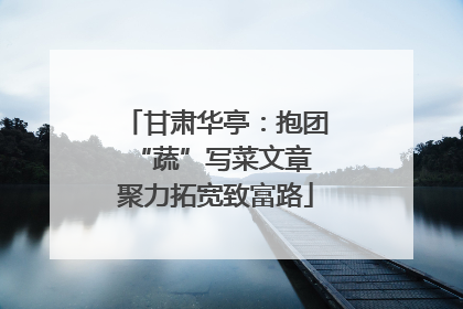 甘肃华亭：抱团“蔬”写菜文章 聚力拓宽致富路
