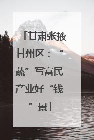 甘肃张掖甘州区：“蔬”写富民产业好“钱”景