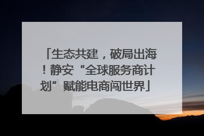 生态共建，破局出海！静安“全球服务商计划”赋能电商闯世界