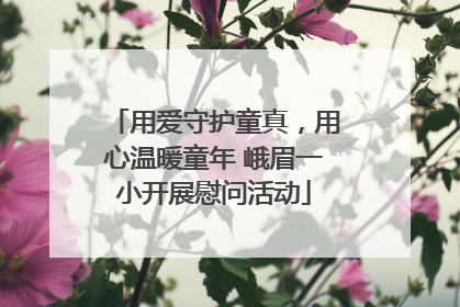 用爱守护童真，用心温暖童年 峨眉一小开展慰问活动