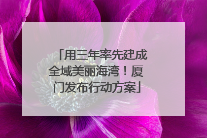 用三年率先建成全域美丽海湾！厦门发布行动方案