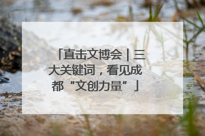 直击文博会｜三大关键词，看见成都“文创力量”