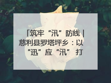 筑牢“汛”防线｜慈利县罗塔坪乡：以“迅”应“汛” 打赢暴雨防御战