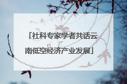 社科专家学者共话云南低空经济产业发展