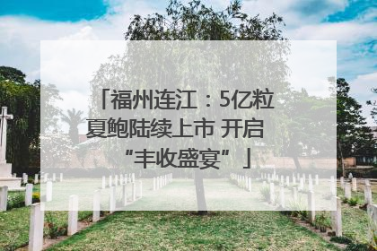 福州连江：5亿粒夏鲍陆续上市 开启“丰收盛宴”