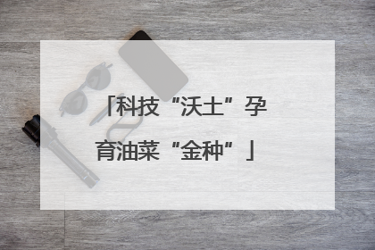 科技“沃土”孕育油菜“金种”