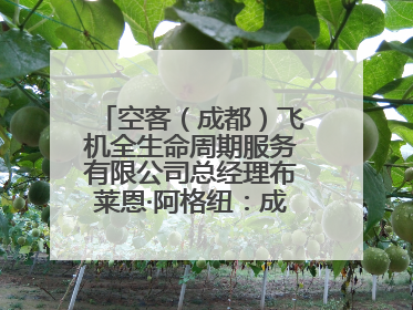 空客（成都）飞机全生命周期服务有限公司总经理布莱恩·阿格纽：成都航空产业生态完备，营商环境优势显著
